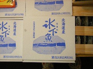 20101103-4 - ��򑺍s���@-_44