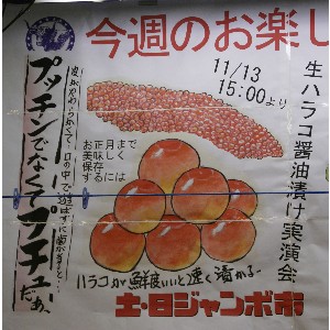 20101113 -���n���R�̏ݖ��Ђ������A�ۑ��̎�����-_1