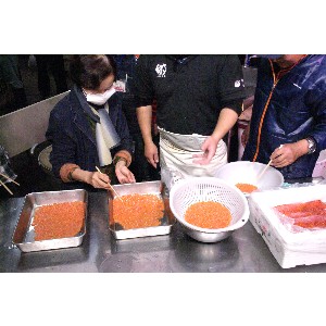 20101113 -���n���R�̏ݖ��Ђ������A�ۑ��̎�����-_7
