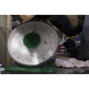 20101114 ��������Ђ��A�Ԃ��ԒЂ�������_6