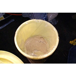 20101114 ��������Ђ��A�Ԃ��ԒЂ�������_11