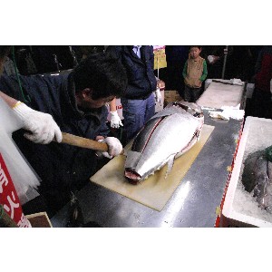 20101120 -�܂���̉�̎�������ɂ�鑦����-_5
