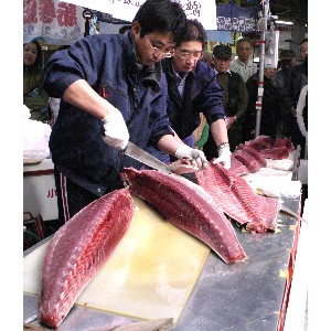 20101120 -�܂���̉�̎�������ɂ�鑦����-_10