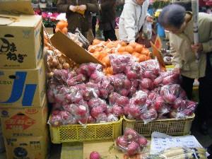 20101120 -���T�̔����ł�-_14