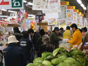 20101120 -���T�̔����ł�-_6