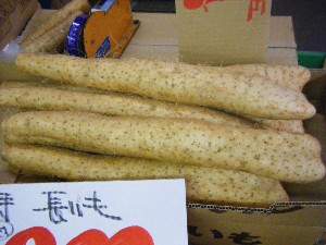 20101127 -���T�̔���ł�-_44