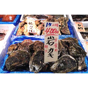 20101204 -���T�̔����2-_6