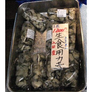 20101204 -���T�̔����2-_7