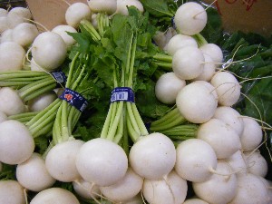 20101204 -���T�̔����ł�-_4
