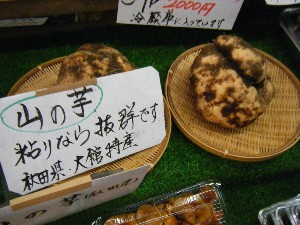 20101204 -���T�̔����ł�-_21