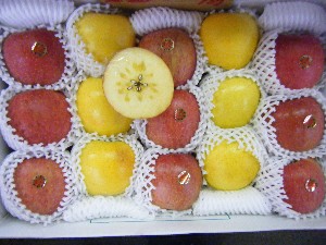 20101204 -���T�̔����ł�-_33