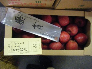 20101204 -���T�̔����ł�-_34
