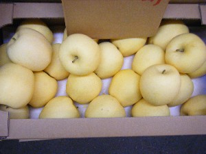 20101204 -���T�̔����ł�-_37