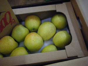 20101204 -���T�̔����ł�-_41