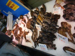 20101204 -���T�̔����ł�-_62