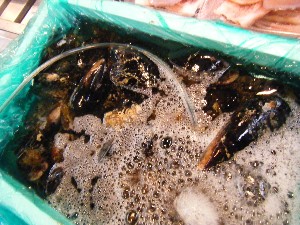 20101204 -���T�̔����ł�-_65