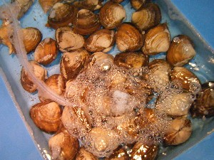 20101204 -���T�̔����ł�-_67