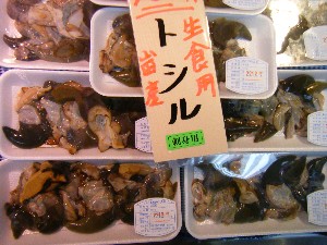 20101204 -���T�̔����ł�-_73