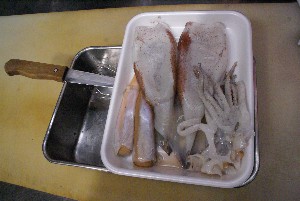 20101211 -�C�J�̉��h(�؂荞��)�Â������ �k�O���V�R�s���-_2