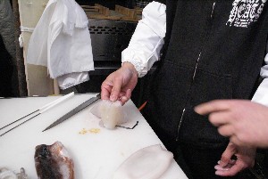 20101211 -�C�J�̉��h(�؂荞��)�Â������ �k�O���V�R�s���-_14