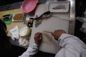 20101211 -�C�J�̉��h(�؂荞��)�Â������ �k�O���V�R�s���-_17
