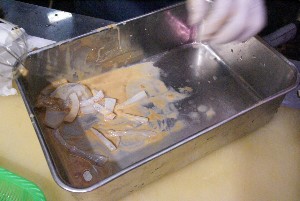 20101211 -�C�J�̉��h(�؂荞��)�Â�������@�{�Ëߓ����X��-_5