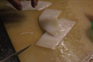 20101211 -�C�J�̉��h(�؂荞��)�Â�������@�c�����X��-_13