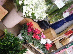 20101211 -���T�̔����ł�-_28