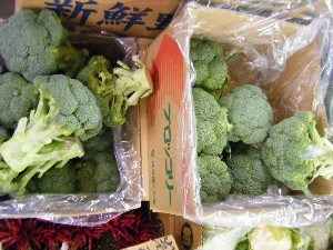 20101211 -���T�̔����ł�-_49