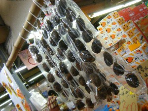 20101218 -���T�̔����ł�-_18