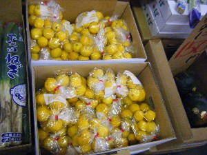 20101218 -���T�̔����ł�-_24