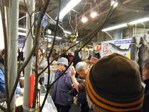 20101218 -���T�̔����ł�-_33
