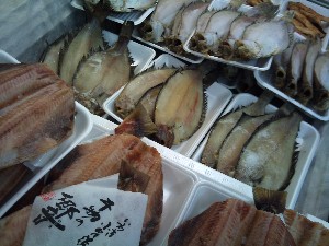 20101218 -���T�̔����ł�-_53