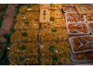 20101225 -���T�̔����| -�Q-_7
