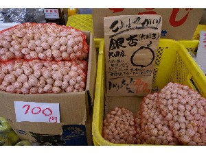 20101225 -���T�̔����| -�Q-_13