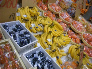 20101225 -���T�̔����-_13