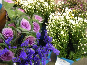 20101225 -���T�̔����-_15