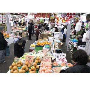 20101229-31 -���N�z�s�|-_9