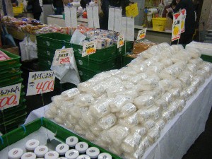 20101229 -���N�z�s�|-_2