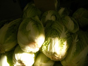 20101229 -���N�z�s�|-_6