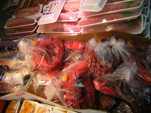 20101229 -���N�z�s�|-_38
