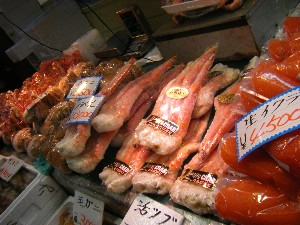 20101229 -���N�z�s�|-_45