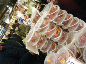 20101229 -���N�z�s�|-_50