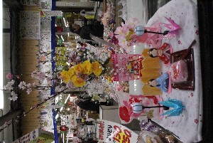 2010 -�q�i�R���@�W�����{�L��̕��̎ʐ^-_19