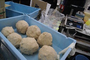 20110122 -���薡�X�����i�y�j-_13