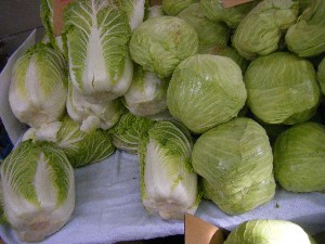 20110129 -���T�̔����ł�-_6