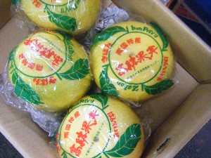 20110129 -���T�̔����ł�-_24