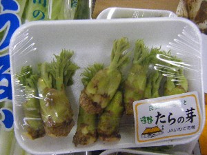 20110219 -���T�̔����ł�-_1