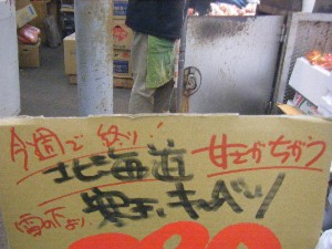 20110219 -���T�̔����ł�-_9