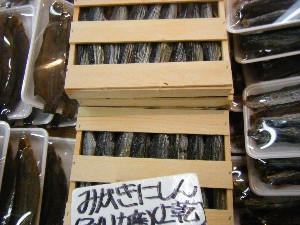 20110219 -���T�̔����ł�-_65